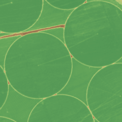 Recorte de 2.4 km do mapa de vigor em São Desidério - BA, na faixa de vigor alto